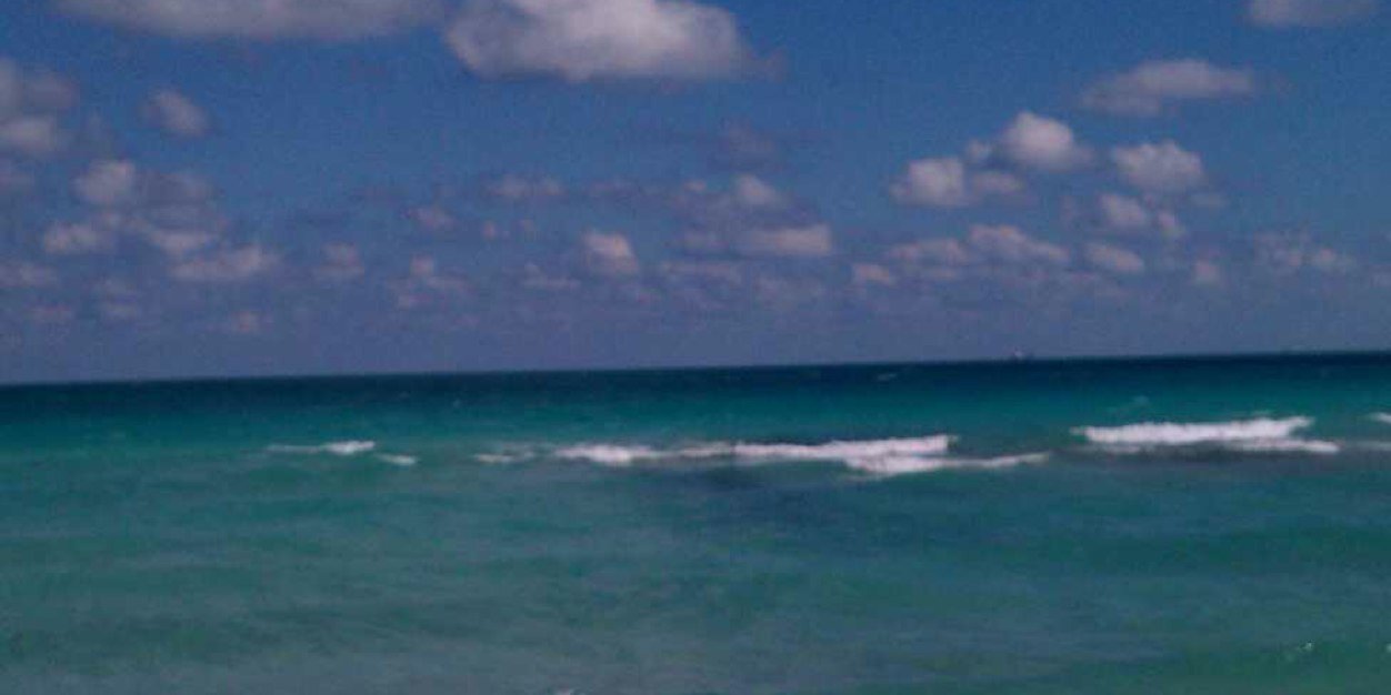 borbasusie's profile banner image