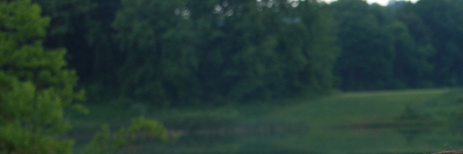 typical__ginger's profile banner image