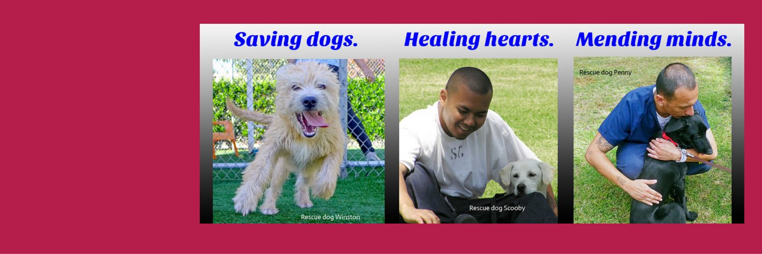 PathwaysToHope's profile banner image