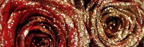 rose_kwartz's profile banner image