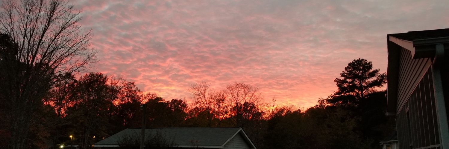 Stephanie DeFeo banner