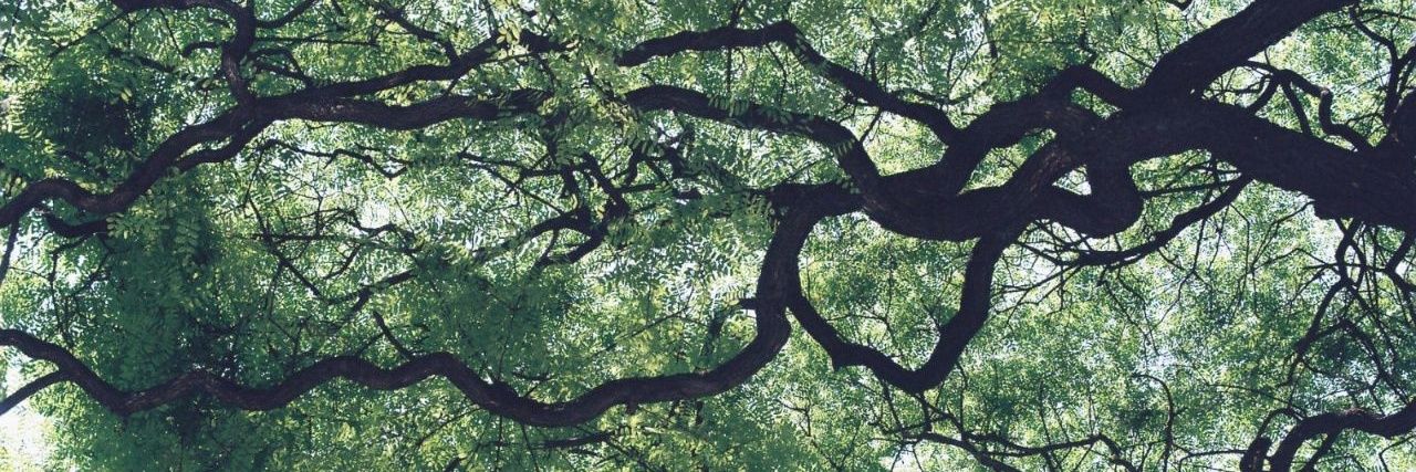 ✳️Vanesa Martín banner