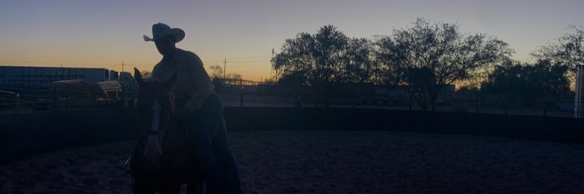 dgissselle's profile banner image
