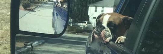 NickDAmato0's profile banner image
