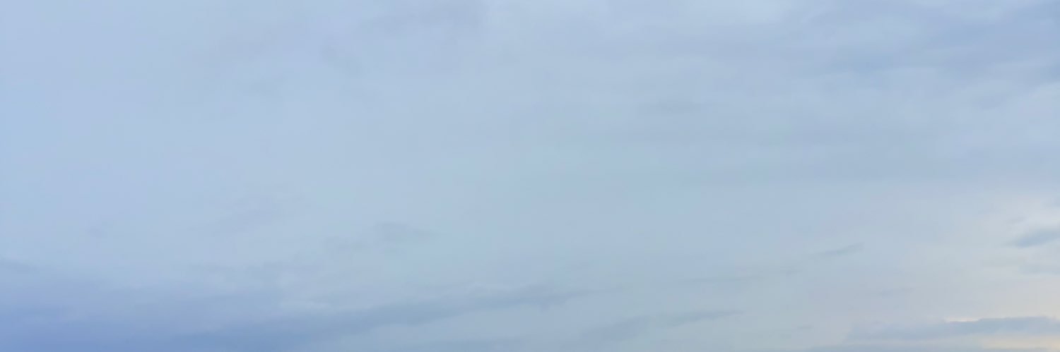 axyzbear's profile banner image