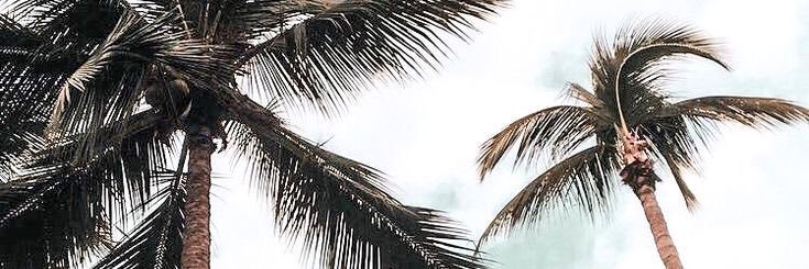 bmpxdg's profile banner image