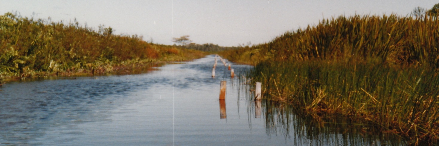 TSElliott2's profile banner image