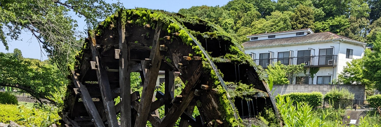 Daisuke Tsuji banner