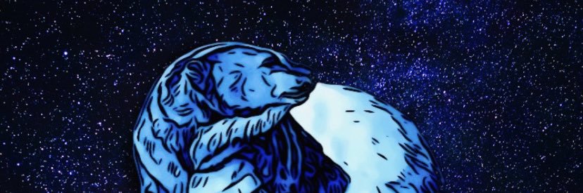 PolarBurs GS 🐻‍❄️ banner