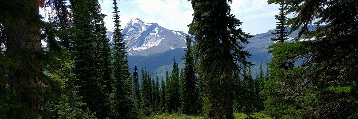 austinbuchanan's profile banner image