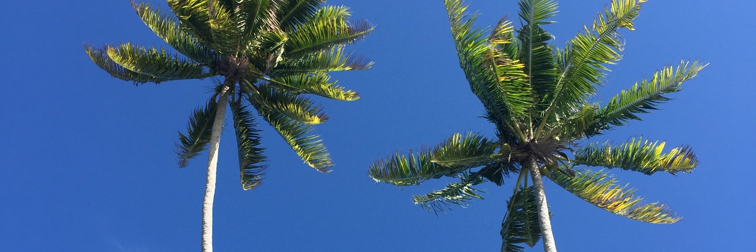 andyhbbr's profile banner image