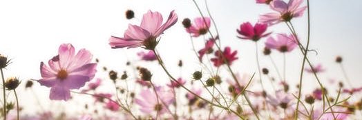 kay_hild's profile banner image