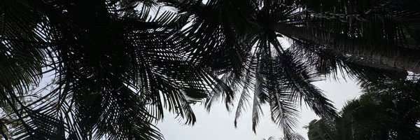 KameronSBrown Profile Banner