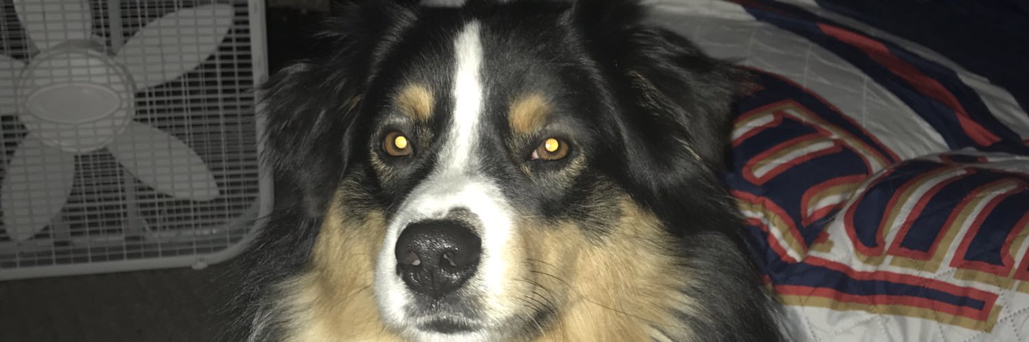 trev44t's profile banner image