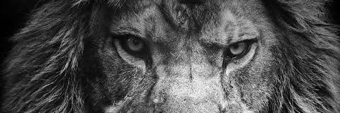 ninamumtazs's profile banner image
