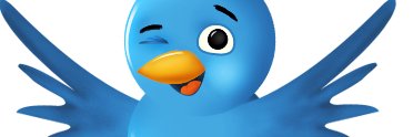 ruchi71's profile banner image