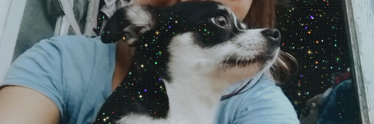 Aprilis06's profile banner image