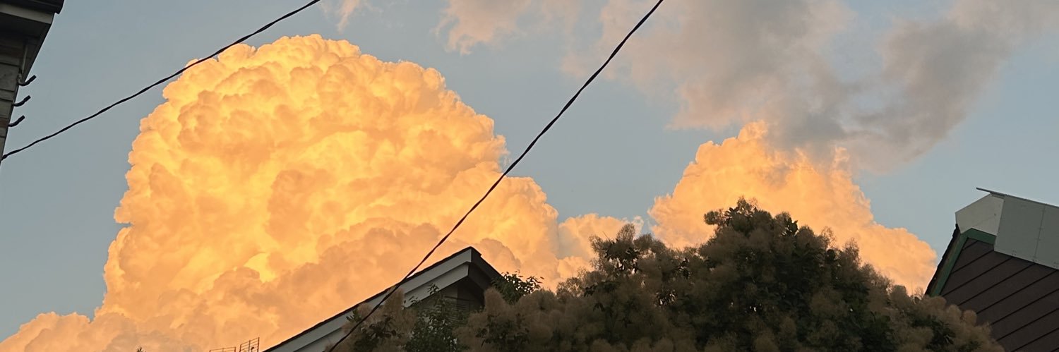 eeveviolet's profile banner image