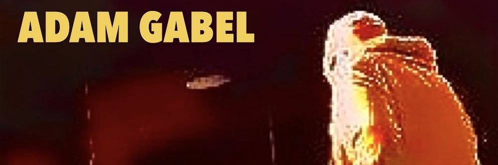 Adam Gabel banner