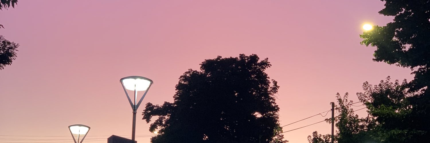 Solcalzonii's profile banner image