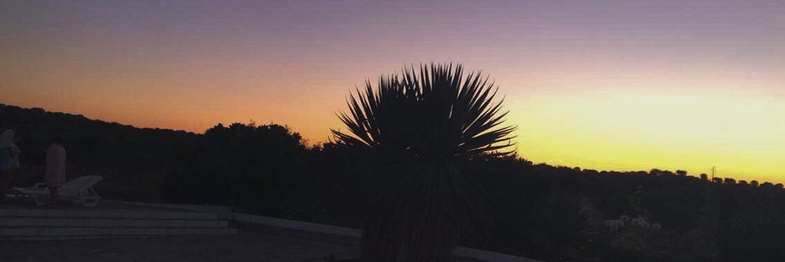 margarida_tr8's profile banner image