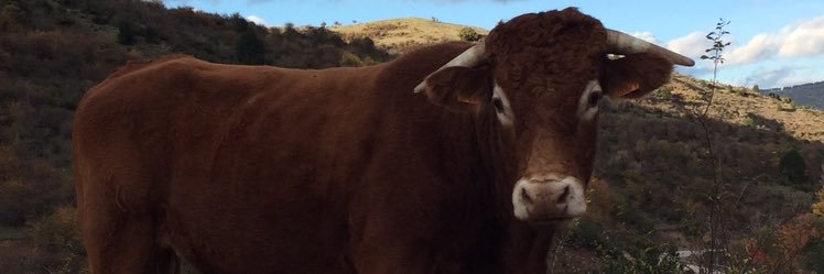 gorkaparada's profile banner image