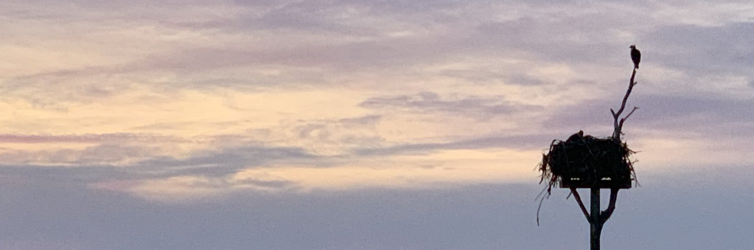 Joanna Lane banner