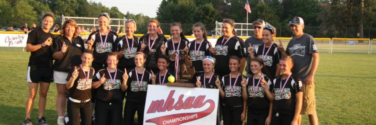 Dansville Softball banner