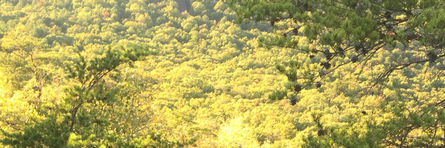 SladeHill801's profile banner image
