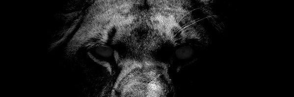 bighomieuce's profile banner image