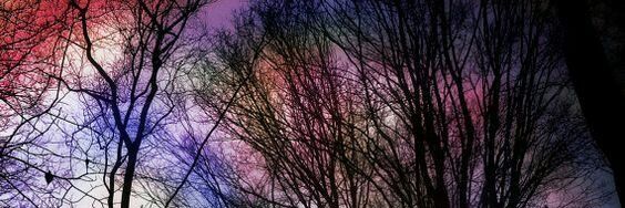 ashrgillian's profile banner image