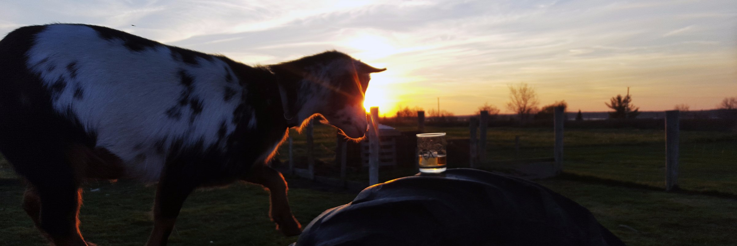 Glass_Goat's profile banner image