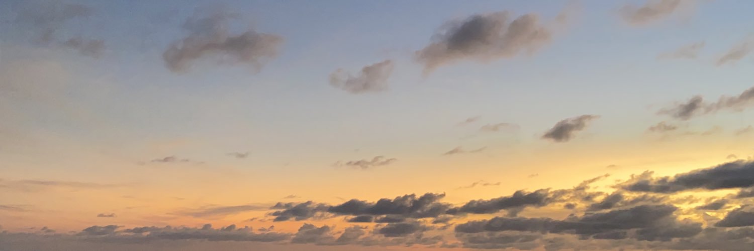 putriellns's profile banner image