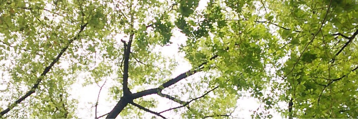 ＋αえしゃろっと banner