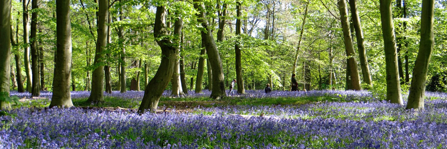 Friends of Wanstead Parklands banner