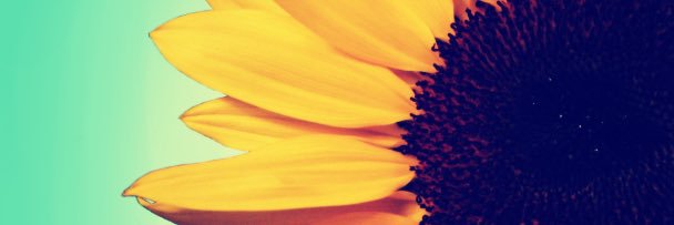 sydelbo's profile banner image