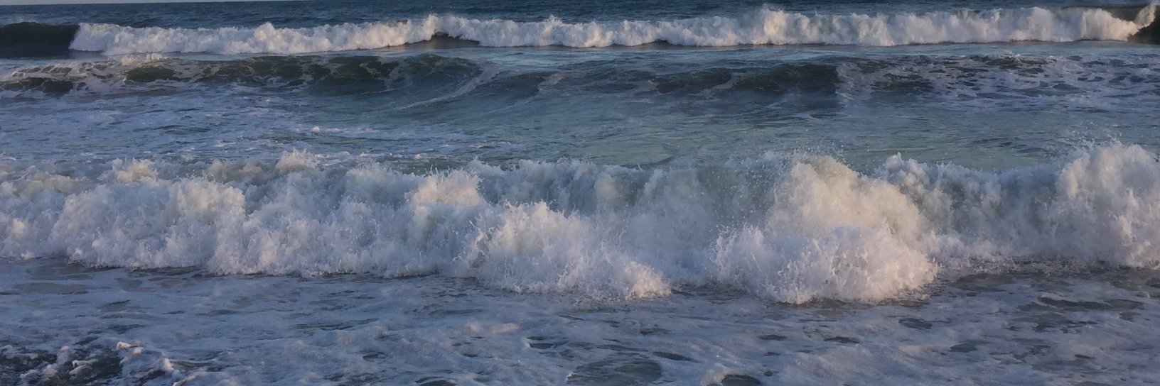 Kelti Cameron banner