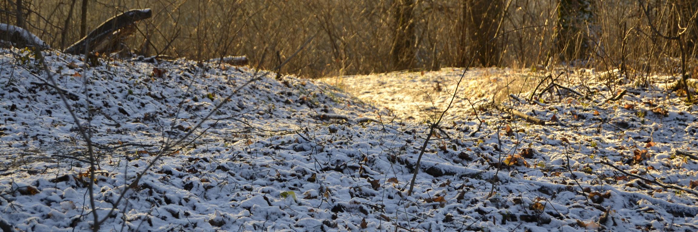 Jecis_'s profile banner image