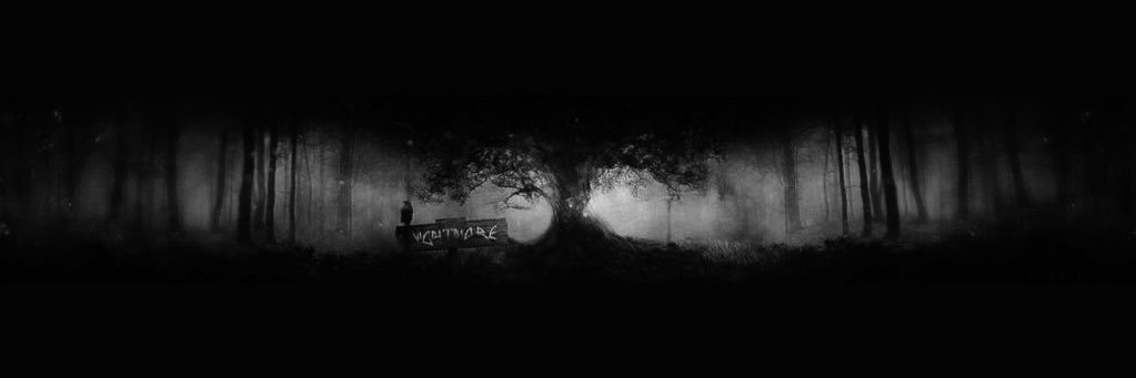 noorulain007's profile banner image