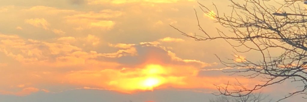 Emily_Nealy's profile banner image
