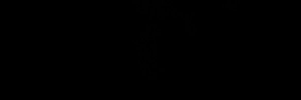 tsauce7 Profile Banner