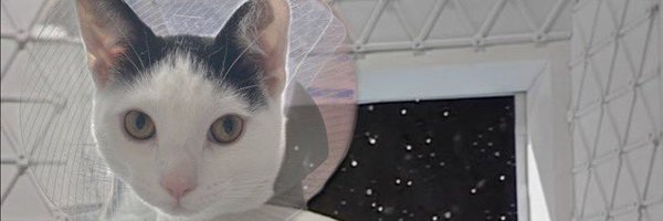 hellothisisivan Profile Banner