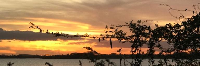 Trejos3094's profile banner image