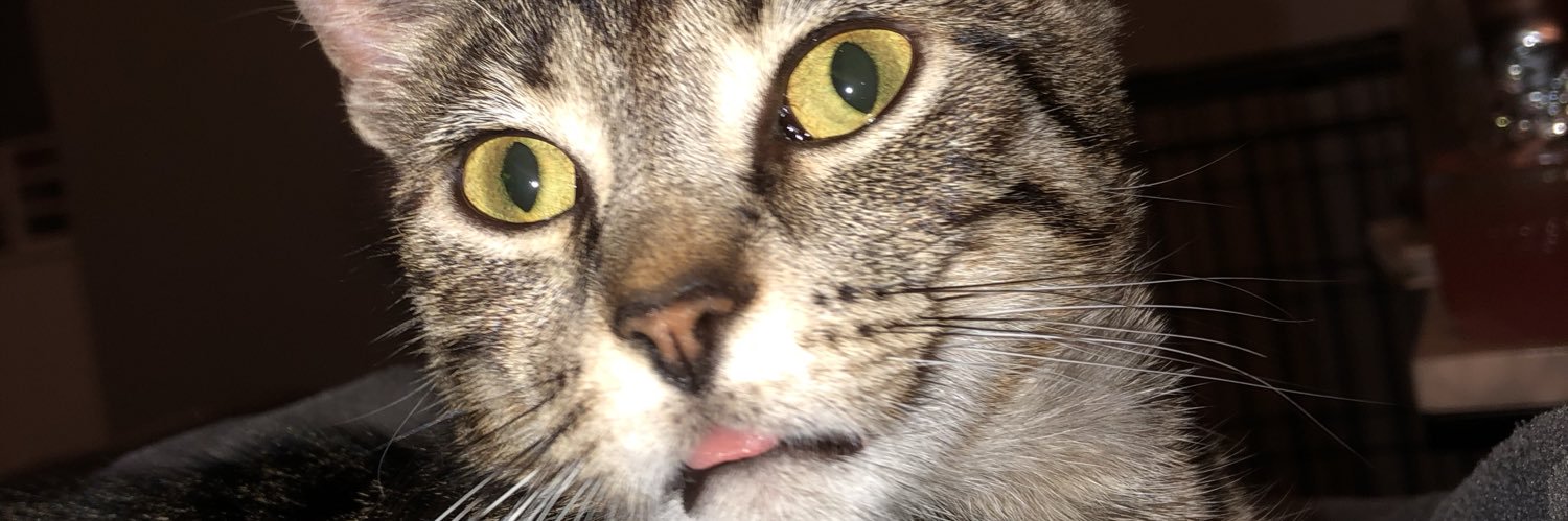 fknalison's profile banner image