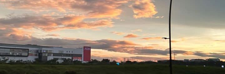 taa_ sy_ 🌱 banner