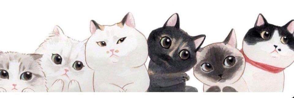 DanaWehner's profile banner image