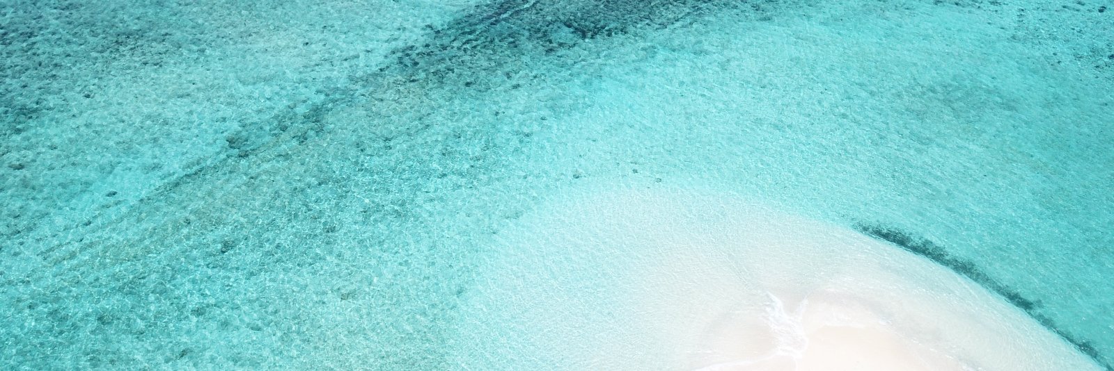 VerityMorley's profile banner image