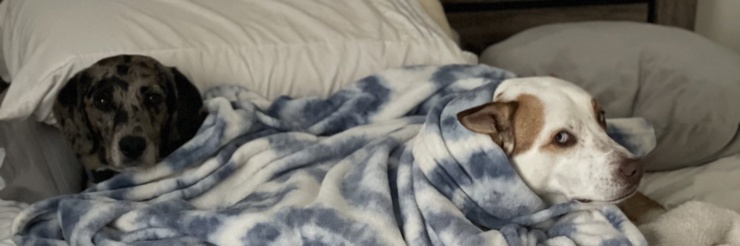 kgmillerrr's profile banner image