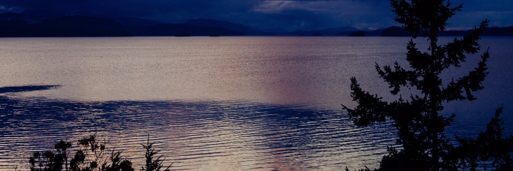 CERicoRey's profile banner image