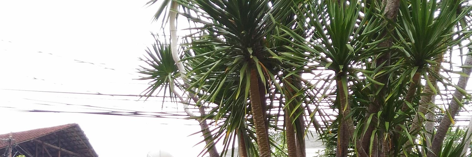 wartiaja's profile banner image